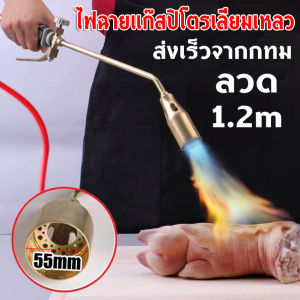 GIORGIO ARMANI หมูผ้า เผายางมะตอย กับ 7-15 กก. ตุ๊กตา 55mm