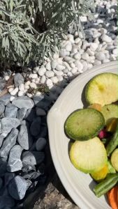 ผักอบกรอบ ขนมผักอบกรอบ ผักกรอบ ผักผลไม้อบกรอบ 100 กรัม/250 กรัม/500 กรัม