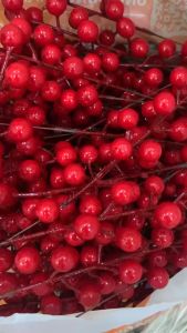 Nhánh đào đông cherry đỏ trang trí Tết decor giỏ quà làm vòng hoa Smile Decor