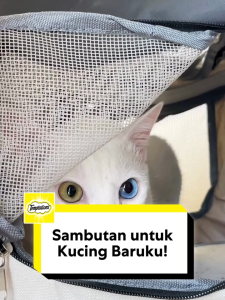 Snack Kucing TEMPTATIONS - Camilan Kucing Creamy Purrrr-ée (6-Pack) 48g.