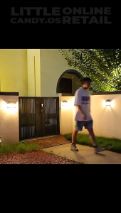 Solar Wall Light Motion Sensor Outdoor Lighting Automatic Warm LED Night Light Solar Lamp Garden Down Light BK-888