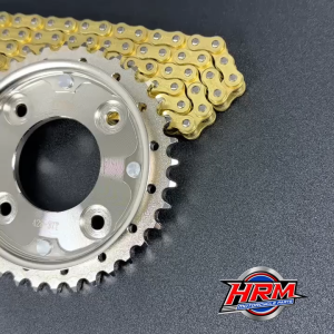 GEAR SET GIR SET RACING BLADE 110 125 FI REVO ABSOLUTE REVO FIT NEW REVO LAMA 37T SILVER GOLD