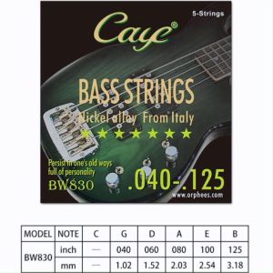 Guitar accessories bass strings CAYE BW830 nickel alloy guitar strings electric bass 5 strings