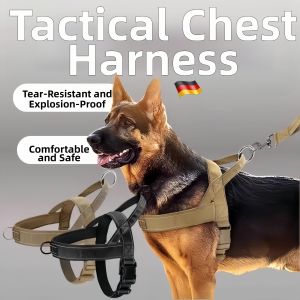NAIFUNA | Large Dog Walking Harness Vest Collar