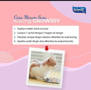 Susu Kucing Growssy Milk Box