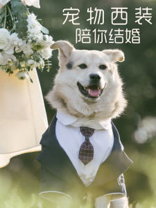 Wedding Suit Dog Costume Gentleman Fake Two-Piece Set Large Dog Clothes Polyester Casual Style Dog Clothing for Pugs And Golden Retrievers