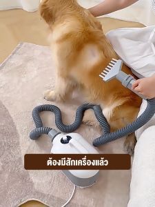 High Power Cat Dryer Water Blower อุปกรณ์อาบน้ำสูงสุด เป็นขนสูงสุนัข เพื่อป้องกันการเกิดแดงและเสียงเลมของคุณ