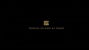 Antinori Tenuta Guado al Tasso Bolgheri Superiore 2019 750ml 14.5% Cabernet Sauvignon Italy Red wine