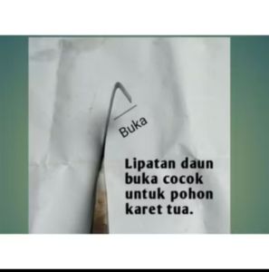 Pisau Sadap Karet Paku Rel / Baja Pandrol Original