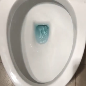 Chai Thả Làm Thơm Diệt Khuẩn Bồn Cầu Hình Con Lợn 230G