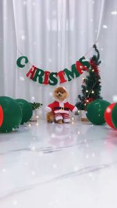 ชุดหมา เสื้อผ้าสัตว์เลี้ยง หมวกคริสต์มาส ชูฟู ชุดคริสต์มาสสัตว์เลี้ยง #A090