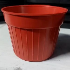 กระถางแคคตัส ทรงลูกฟูก กระถางกระบองเพชร กระถางต้นไม้ กระถาง ขนาด 3.5 นิ้ว (แพ็ค 50 ใบ/100 ใบ)