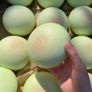 Daifuku Mochi Squishy Stress Toy Slow Rising Squeeze Toy Sensory Decompression Fidget Toy for Kids & Adults