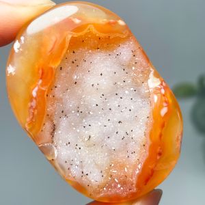 1 Red Agate Palm-shaped Crystal ClusterTravertine Palm-shaped CrystalRed Agate Palm-shaped CrystalTravertine Palm-shaped