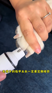Máy mài móng Chó Mèo cao cấp có đèn led soi mạch máu cổng sạc USB (mẫu mới) - Love Pets Shop