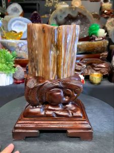 fossil tree #johorbahru #crystal 天然玉化🪵💯粽黄色树化玉  🆓雕刻实木底座  整体高total height: 22.5cm  宽width: 16.5cm x 12cm  重weight: 1.5kg  📍Johor Bahru 区可自行取货或邮寄服务