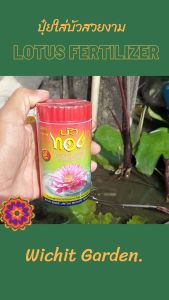 ปุ๋ยบัว ตราบัวทอง 1 กระปุก บรรจุ 50 เม็ด สูตร 9-23-30 (N-P-K) ปุ๋ยใส่ไม้น้ํา ปุ๋ยเร่งให้บัวออกดอก ดอกบัวสีสด กรีบบัวใหญ่แข็งแรง