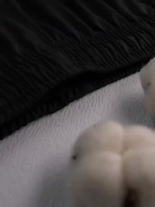 Seluar Panjang Kasual Lurus Longgar Baru Musim Gugur Lelaki Bera Cepat Kering Seluar Sukan Pelajar dengan Tiga Belang