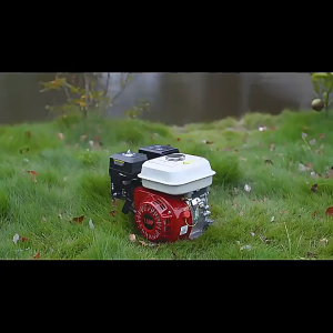 Gasoline Engine 4-Stroke High Speed  Air Cooled Gasoline Engine High Power High Quality 170F/9.5HP