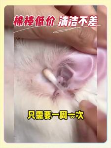 BAYLDAHL | Ear Mite Removal Ear Cleaning Solution