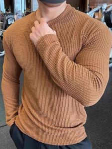 Áo Thun Nam Tay Dài Cổ Tròn Màu Trơn Dáng Rộng Mùa Hè Thường Ngày Không Thương Hiệu Chất Liệu Khác Không Có Chức Năng Đặc Biệt