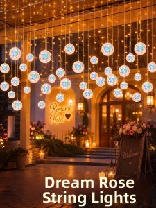 BEAUTY IN THE LIGHT | Color-changing Starlight String Lights
