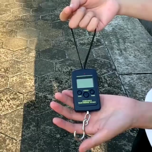 SOEZ Digital Electronic LCD Luggage Scale Pocket 40kg / 10g LCD Digital Fishing Hanging Electronic Scale Hook