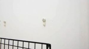 Grid Wall Shelf Hook Hanging Shelf Room Decor Wall Storage Rack Holder Wooden Iron Wall Art Rack Bingkai Tembok