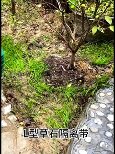 10cm x 10m Saverstore Root Barrier Garden Edging Fence Belt Border Garden Lawn Edging Stone Isolation Path Barrier