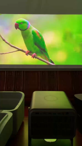 Vidda C3 Ultra / Pro / C3S / C3 [4K Ultra High Definition Tri Color Projector] 2025 New Release!