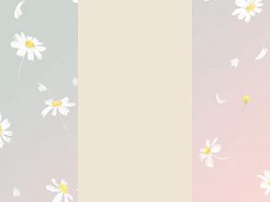 Kokoku 2kg Premium Gold Super Sella Basmati Rice Diabetes & Obesity Low Sugar Rendah Gula Beras Untuk Penderita Diabetes Beras