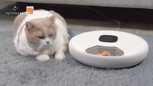 Petoneer Nutri Spin เครื่องให้อาหารแบบถาดหลุม วนอัตโนมัติ