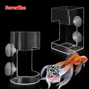 Dụng cụ cho ăn cột vuông hình trụ bên lối vào hồ cá Vẹt cá rùa bể cá Thức ăn cho cá nổi vòng tròn cho ăn treo cá ăn vòng tròn Koi hồ cá lớn nổi