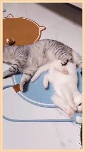 Cat Scratch Pad: Cat Scratch Mat, Cotton Rope Anti-scratch Claw Grinding Pad, and Pet Sleep Mat