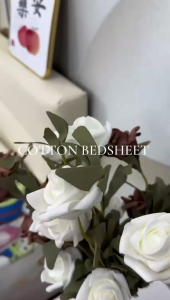 [FS04 玩具总动员] 2500TC Luna Milk Bedsheet 牛奶丝棉床单
