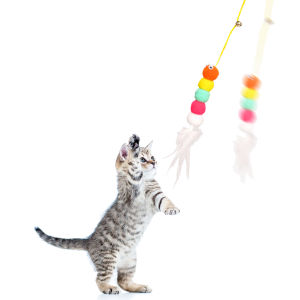 Cat Toy - ของเล่นแมวยืดได้ ตุ๊กตาล่อแมว เบ็ดตกแมว เชือกยางยืด ที่แขวนไว้ที่ประตู คลายเครียดแมว