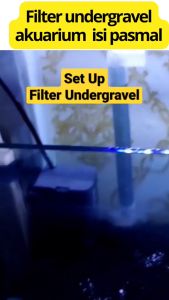 Pusat Aquarium - Paket Filter Undergravel Akuarium 40 60 cm Lengkap Dengan Mesin Amara 1200 Busa Bantal Under Gravel Crown 60