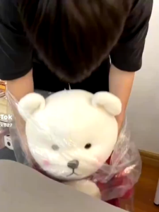 gấᴜ bông Lena Cosplay Mũ gấᴜ Dâu Teddy mặc đồ Stick Quà tặng Đồ Chơi Thú Bông Mềm Mịn Cao Cấp Cute K3T1