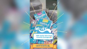 Mr. Vet Cat Pouch Makanan Basah 70g Prebioteik Omega-3 L-Lysine 70gram