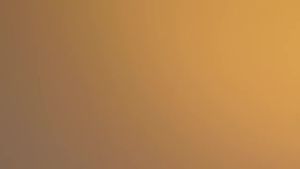 Ammonite LED One Backup Light