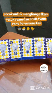 Bohlam Pijar Lampu Filamen Warm White 5w 10w 15w 25w Bulb Filament E27