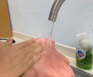 ช็ดจาน ซับน้ำได้ดี หนานุ่ม เช็ดจาน กระจก อเนกประสงค์ คุณภาพสูง