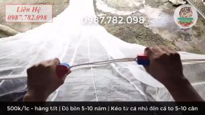 [ HÀNG CAO CẤP LOẠI 1 ] Lưới Kéo Cá  Vét Tôm  Quét Ao Hồ - Sợi Cước Thái Lan Tải 5-10 cân ( + Tặng 1 túi cá )