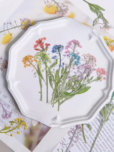 12pcsSweet Alyssum Dried Pressed Real Natural Flowers Plant Decor Supplies for Living Room Photo FrameResin Coaster DIY Materials