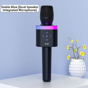 soaiy | Karaoke Home Wireless Bluetooth Kids Microphone
