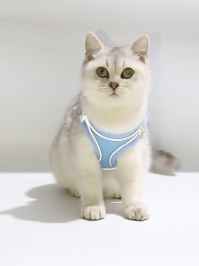 Fly-soft เสื้อรัดอก เสื้อกั๊ก มีเชือกจูง สายรัดอกสุนัข หมา แมว สายจูงสัตว์เลี้ยง ปลอกคอ แข็งแรงยืดหยุ่น พร้อมส่ง