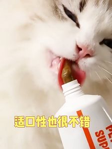 Pet Hair Cream Nutritional Supplements Hair Care Immunity Boosting Treats Nutrition Cream