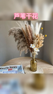 Pampas Grass Bundle - Dried Rattan Reeds for Home Decor Wedding Centerpieces Christmas Party Supplies No Electricity Needed Featherless