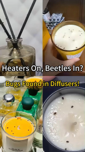 4-Pack Pest Traps for Smoke-Storage: Pheromone Lures + High-Adhesion Sticky Boards Targeted Beetle Capture Simple Installation