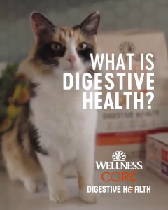 【Pet Mates】Wellness CORE Digestive Health - Wholesome Grains Probiotic Coated Kibble Dry Cat Food